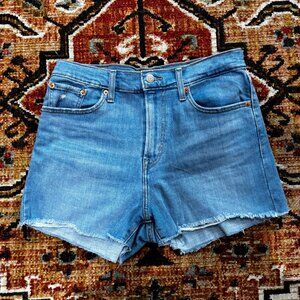 Levi's High Rise Denim Shorts, Size 29